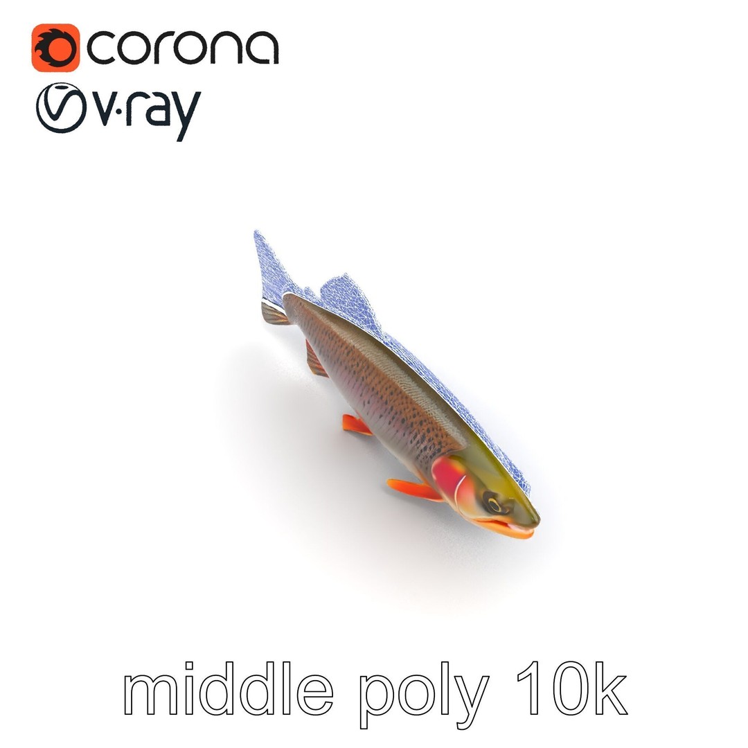 Lahontan Cutthroat Trout 3D Model – Lifelike Low Poly Game Asset, FBX