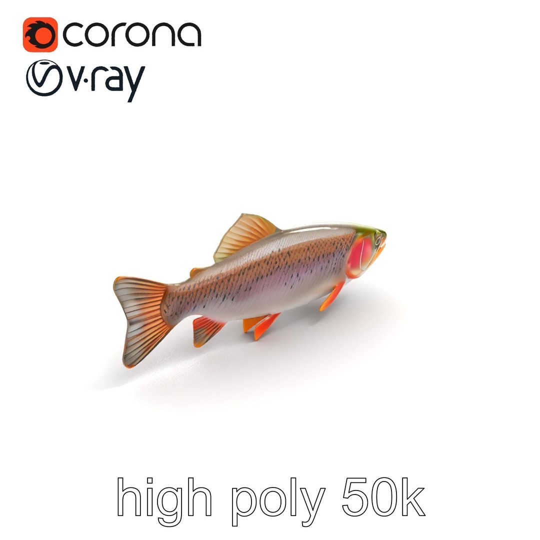 Lahontan Cutthroat Trout 3D Model – Lifelike Low Poly Game Asset, FBX - View 11