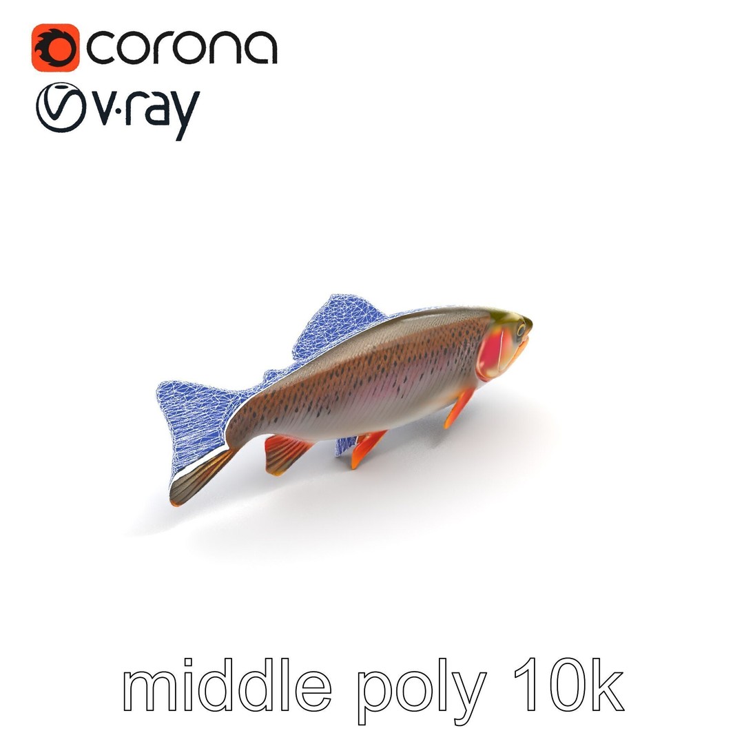 Lahontan Cutthroat Trout 3D Model – Lifelike Low Poly Game Asset, FBX - View 12