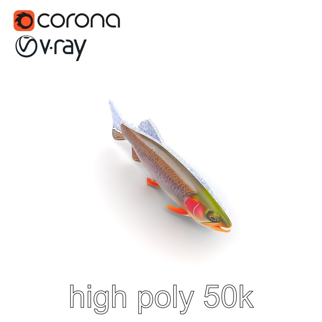 Lahontan Cutthroat Trout 3D Model – Lifelike Low Poly Game Asset, FBX - View 13