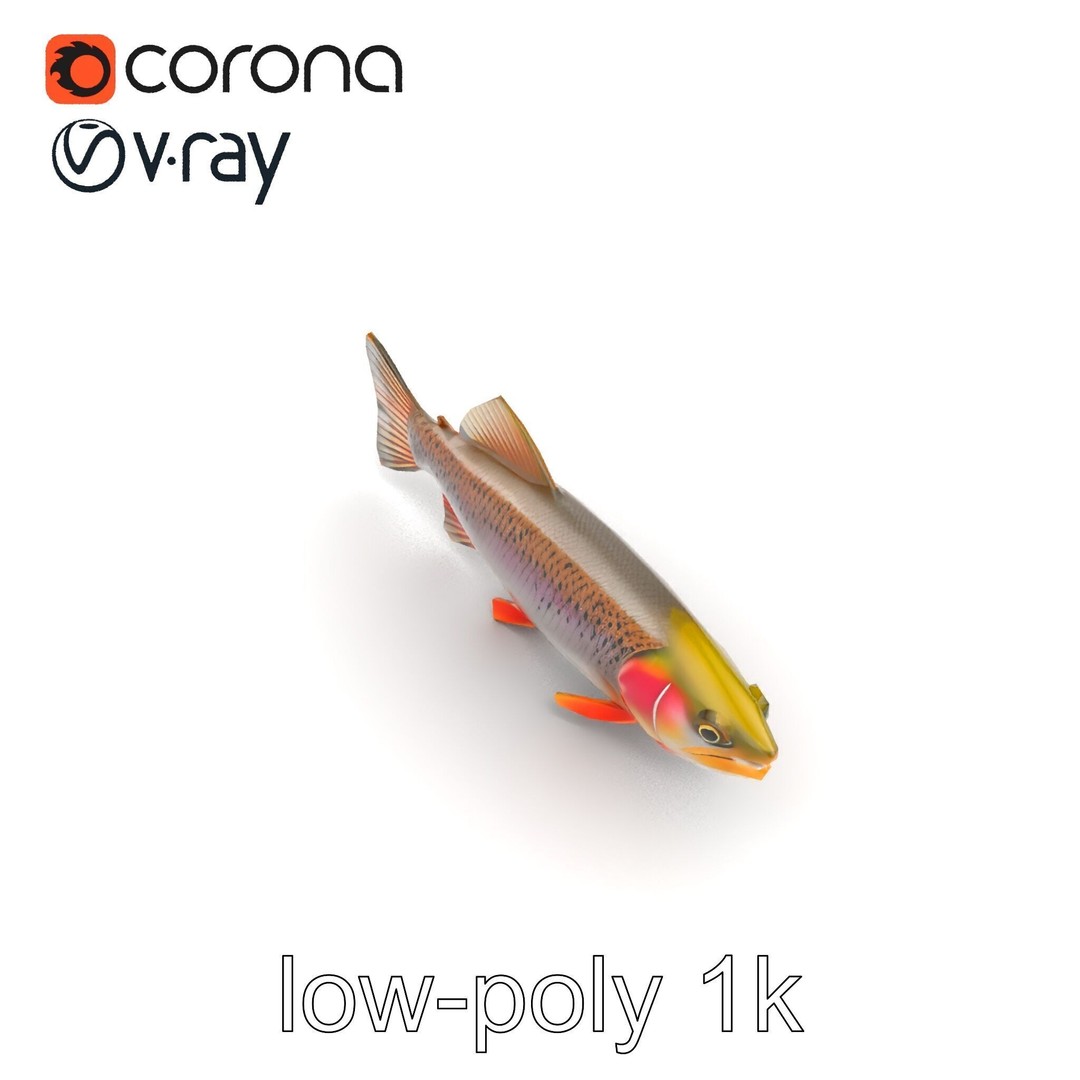 Lahontan Cutthroat Trout 3D Model – Lifelike Low Poly Game Asset, FBX - View 14