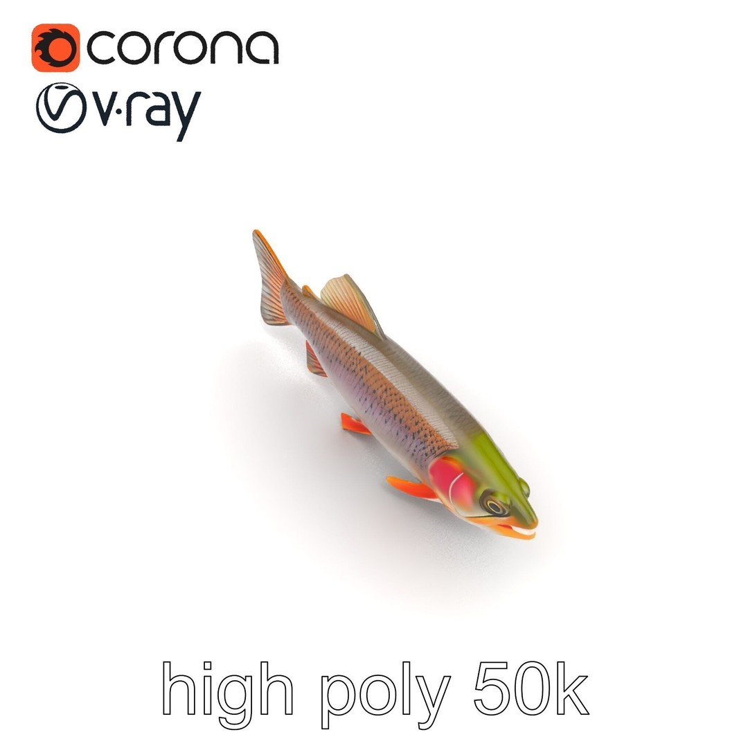 Lahontan Cutthroat Trout 3D Model – Lifelike Low Poly Game Asset, FBX - View 16