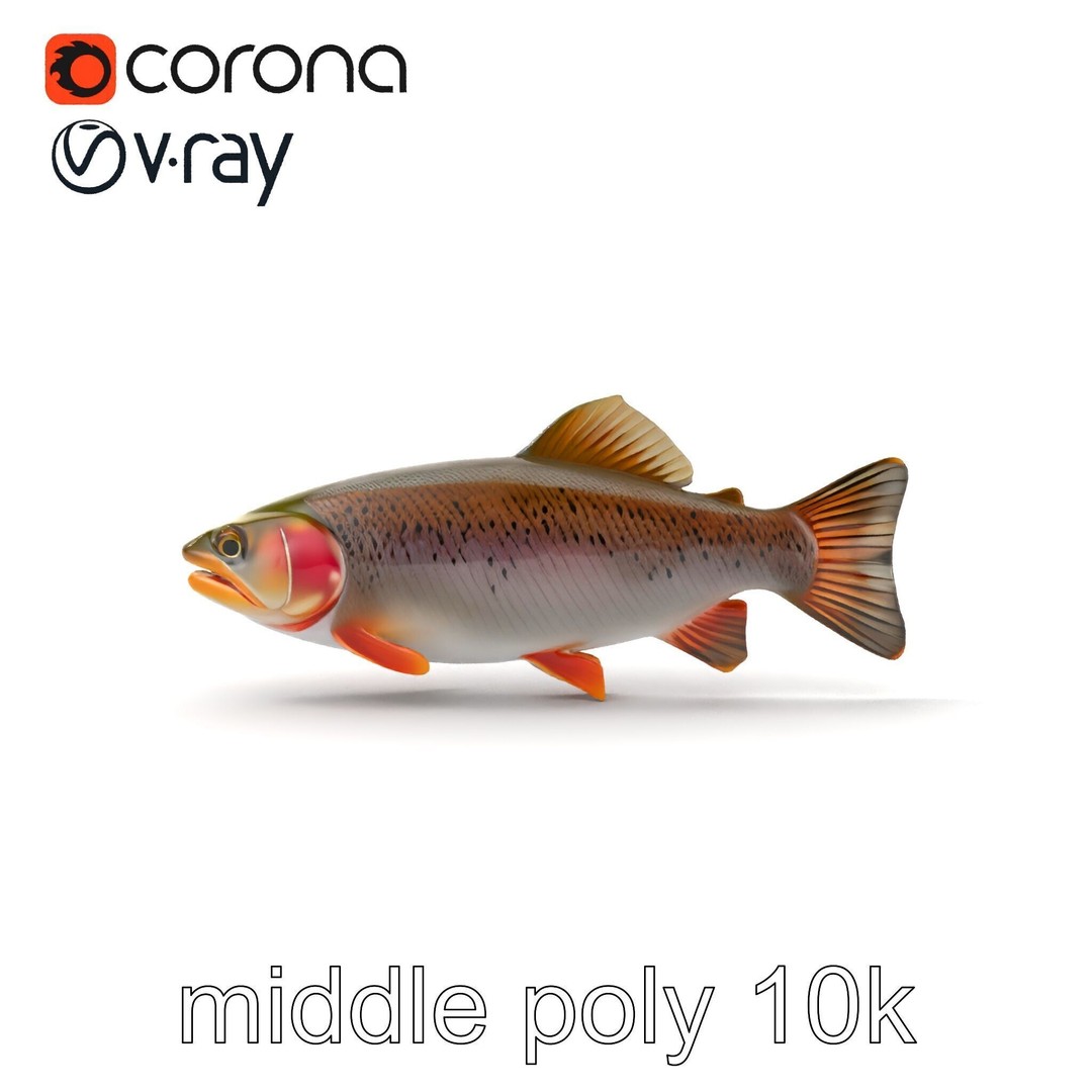 Lahontan Cutthroat Trout 3D Model – Lifelike Low Poly Game Asset, FBX - View 21