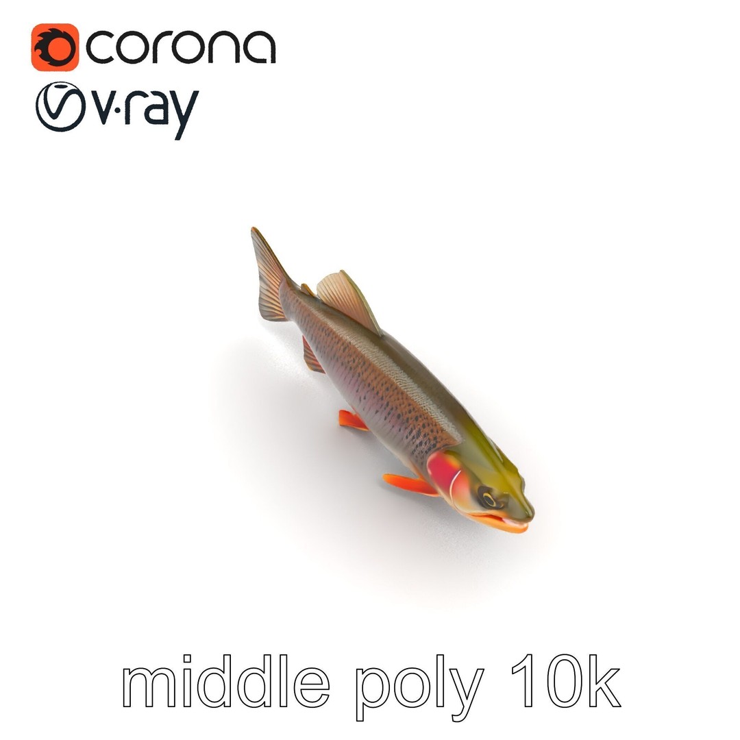 Lahontan Cutthroat Trout 3D Model – Lifelike Low Poly Game Asset, FBX - View 22