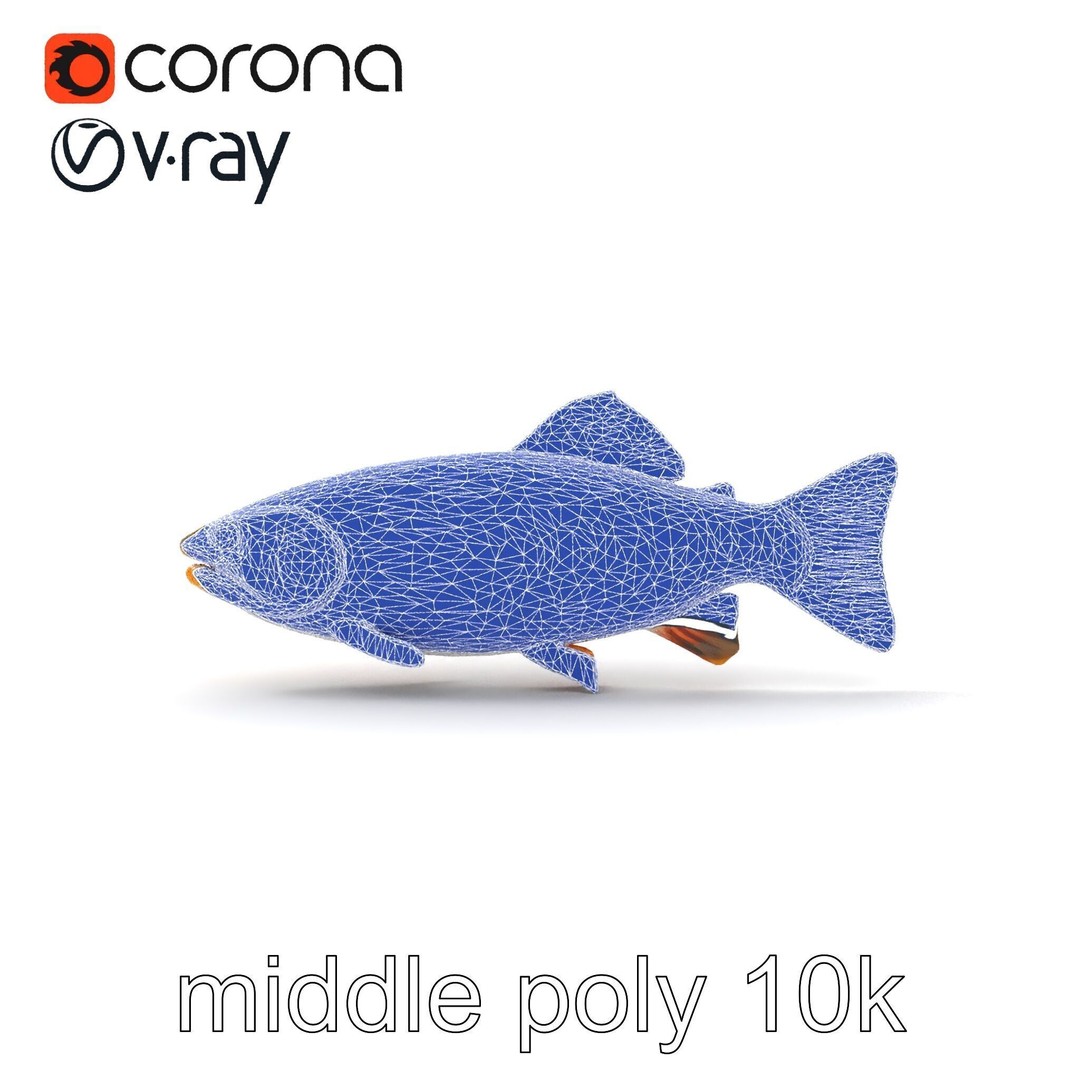 Lahontan Cutthroat Trout 3D Model – Lifelike Low Poly Game Asset, FBX - View 25
