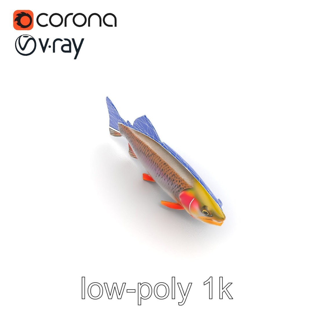 Lahontan Cutthroat Trout 3D Model – Lifelike Low Poly Game Asset, FBX - View 26
