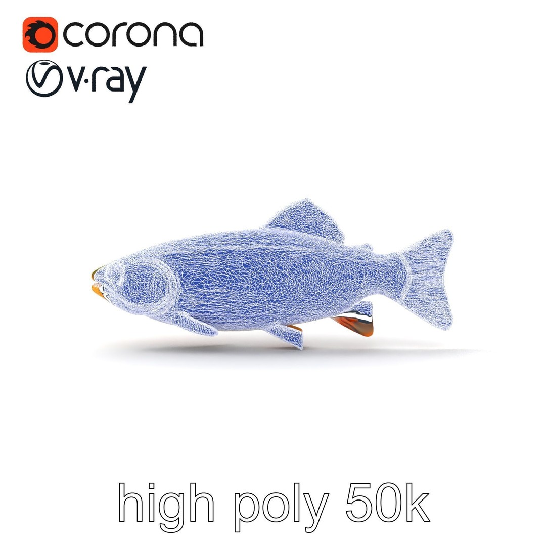 Lahontan Cutthroat Trout 3D Model – Lifelike Low Poly Game Asset, FBX - View 27