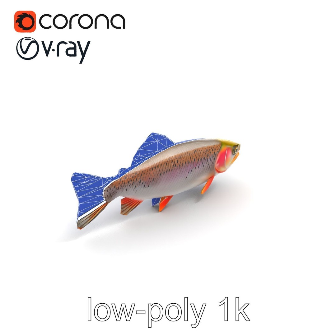 Lahontan Cutthroat Trout 3D Model – Lifelike Low Poly Game Asset, FBX - View 28