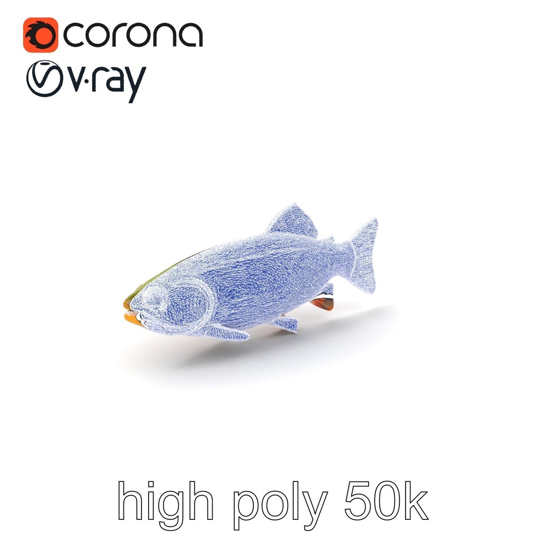 Lahontan Cutthroat Trout 3D Model – Lifelike Low Poly Game Asset, FBX - View 3