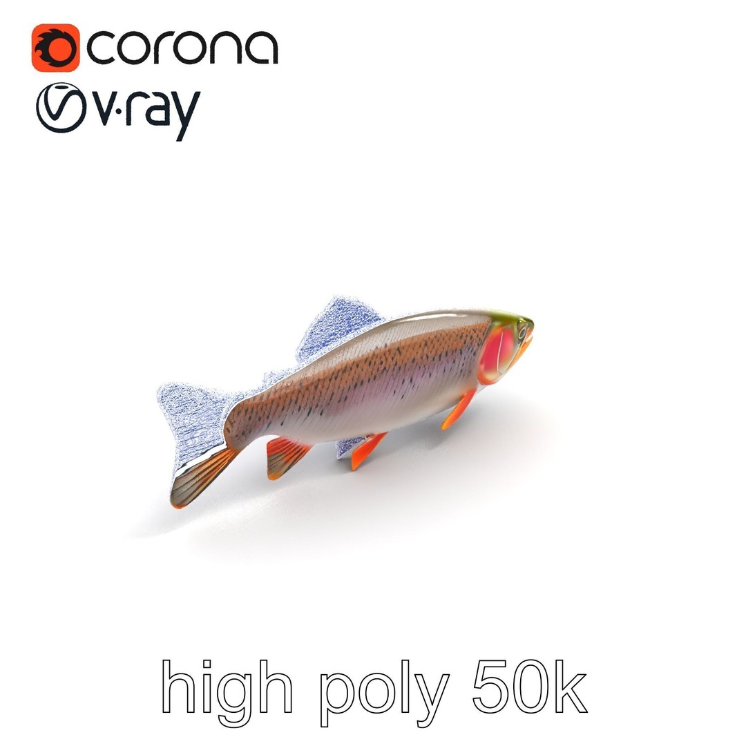 Lahontan Cutthroat Trout 3D Model – Lifelike Low Poly Game Asset, FBX - View 30