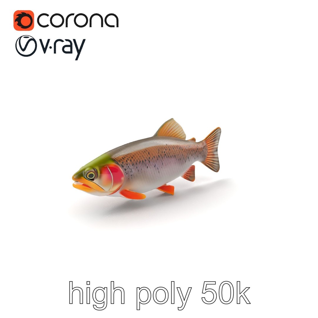 Lahontan Cutthroat Trout 3D Model – Lifelike Low Poly Game Asset, FBX - View 4