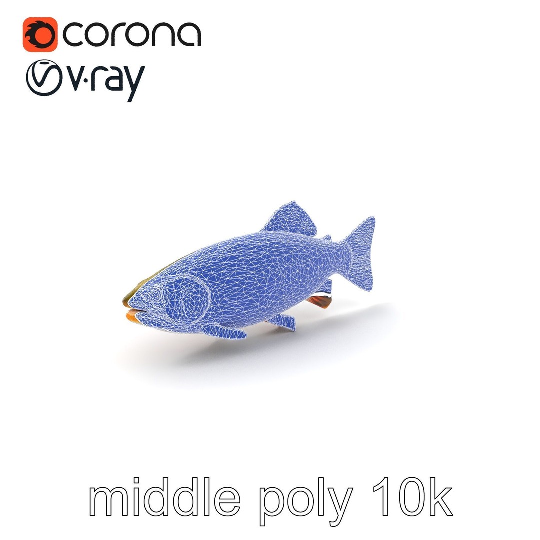 Lahontan Cutthroat Trout 3D Model – Lifelike Low Poly Game Asset, FBX - View 7