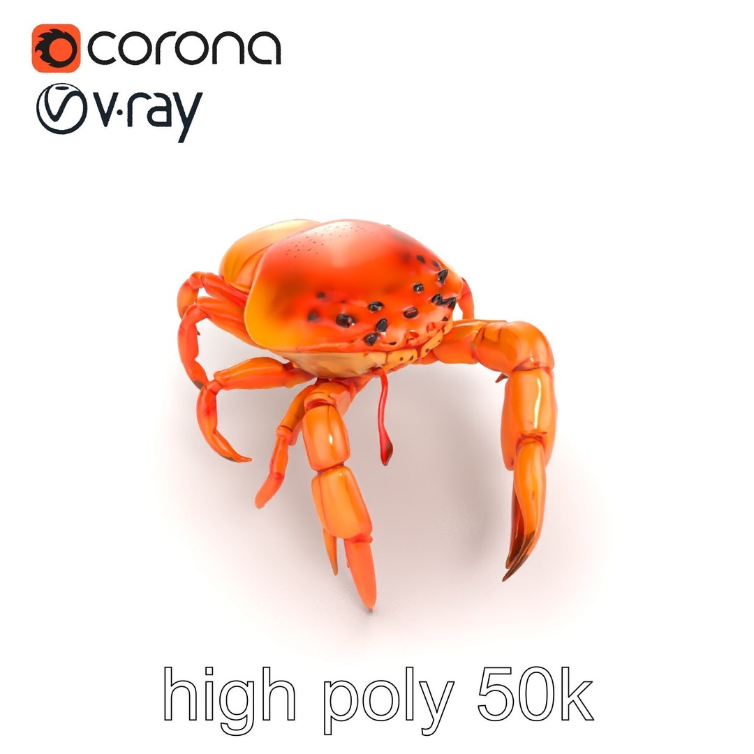 Kamchatka Crab 3D Model – Low Poly PBR Asset for Games and Animation