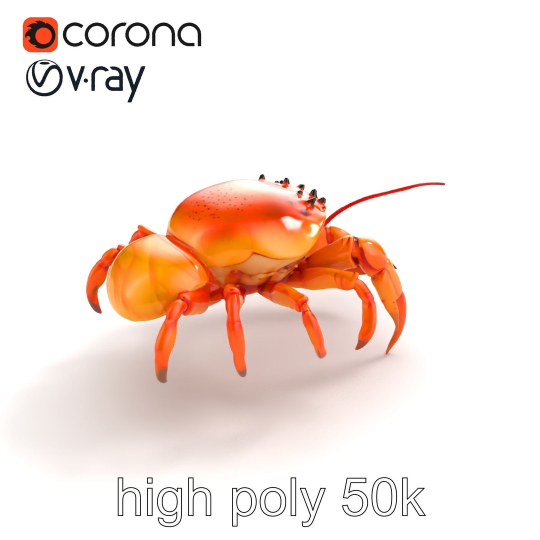 Kamchatka Crab 3D Model – Low Poly PBR Asset for Games and Animation - View 11
