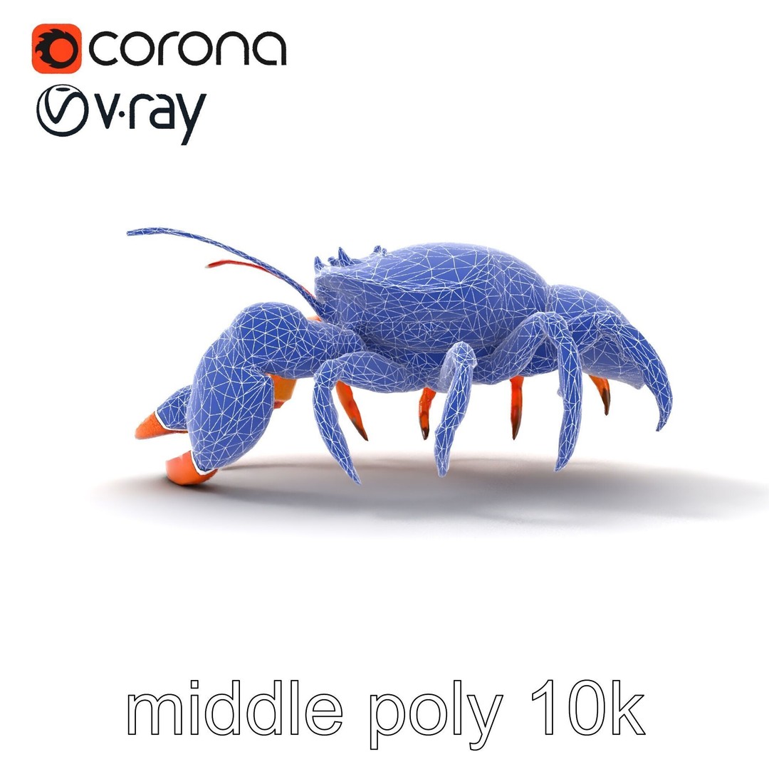 Kamchatka Crab 3D Model – Low Poly PBR Asset for Games and Animation - View 19