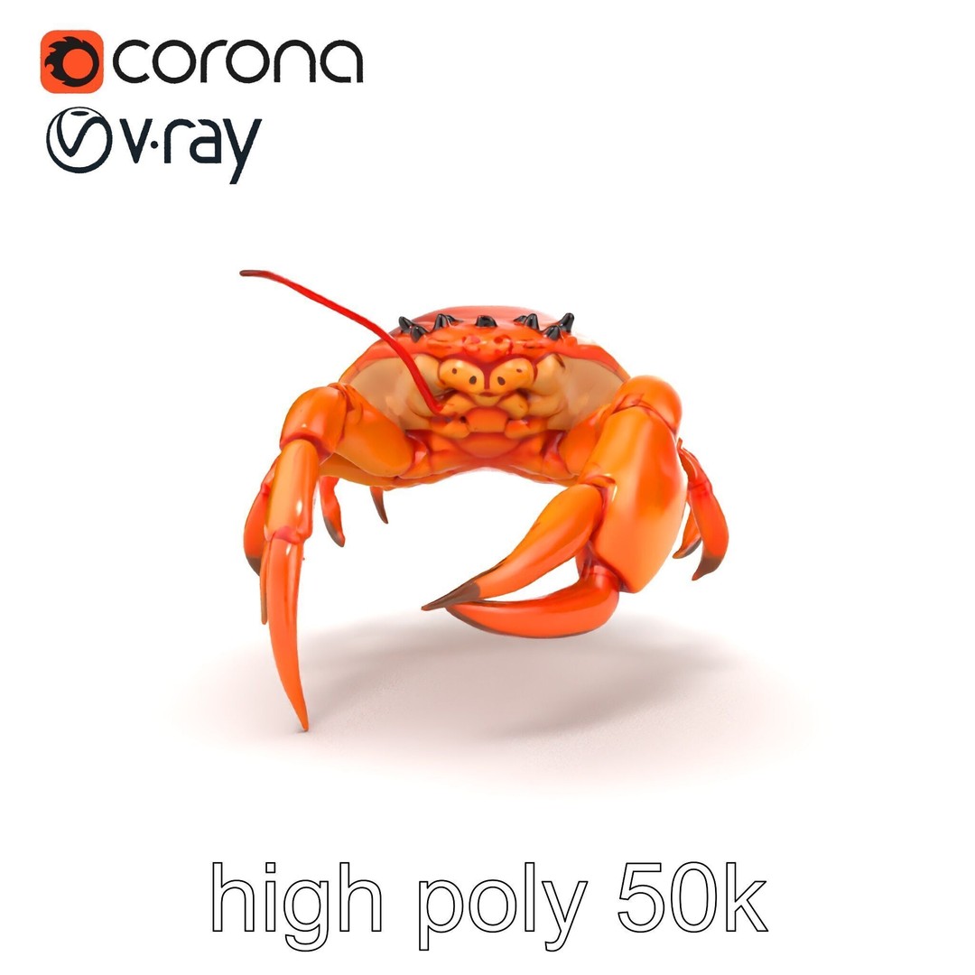 Kamchatka Crab 3D Model – Low Poly PBR Asset for Games and Animation - View 22