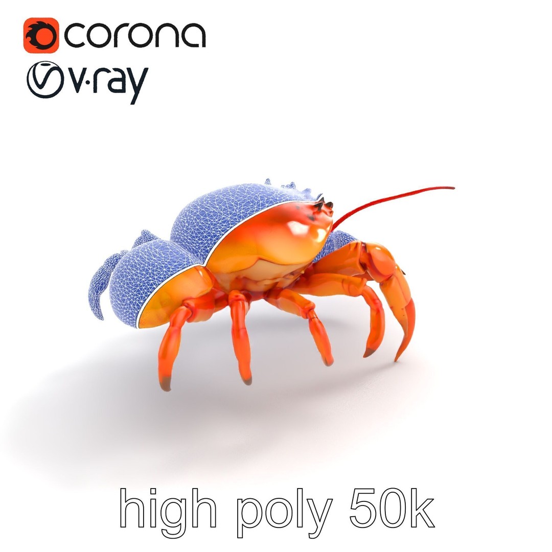 Kamchatka Crab 3D Model – Low Poly PBR Asset for Games and Animation - View 23
