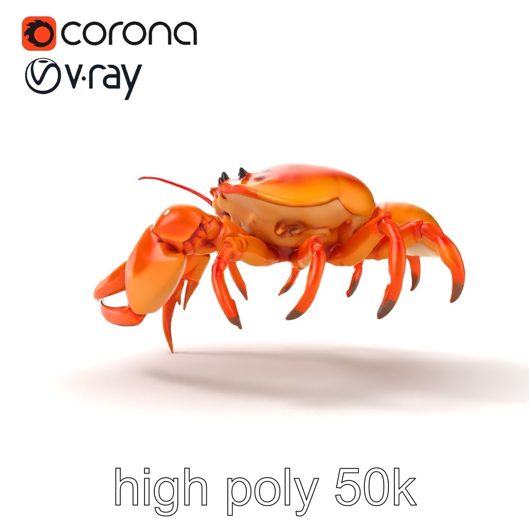 Kamchatka Crab 3D Model – Low Poly PBR Asset for Games and Animation - View 24