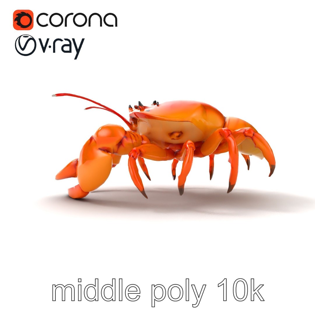 Kamchatka Crab 3D Model – Low Poly PBR Asset for Games and Animation - View 25