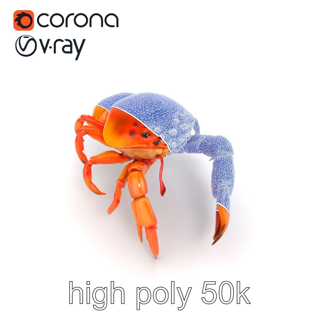 Kamchatka Crab 3D Model – Low Poly PBR Asset for Games and Animation - View 26