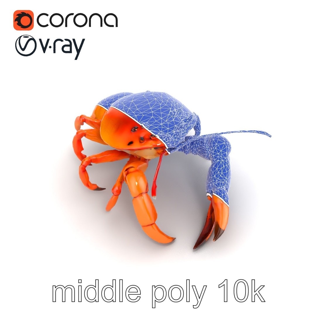 Kamchatka Crab 3D Model – Low Poly PBR Asset for Games and Animation - View 27