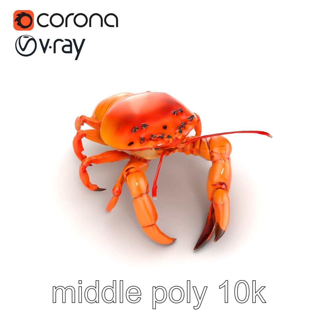 Kamchatka Crab 3D Model – Low Poly PBR Asset for Games and Animation - View 28