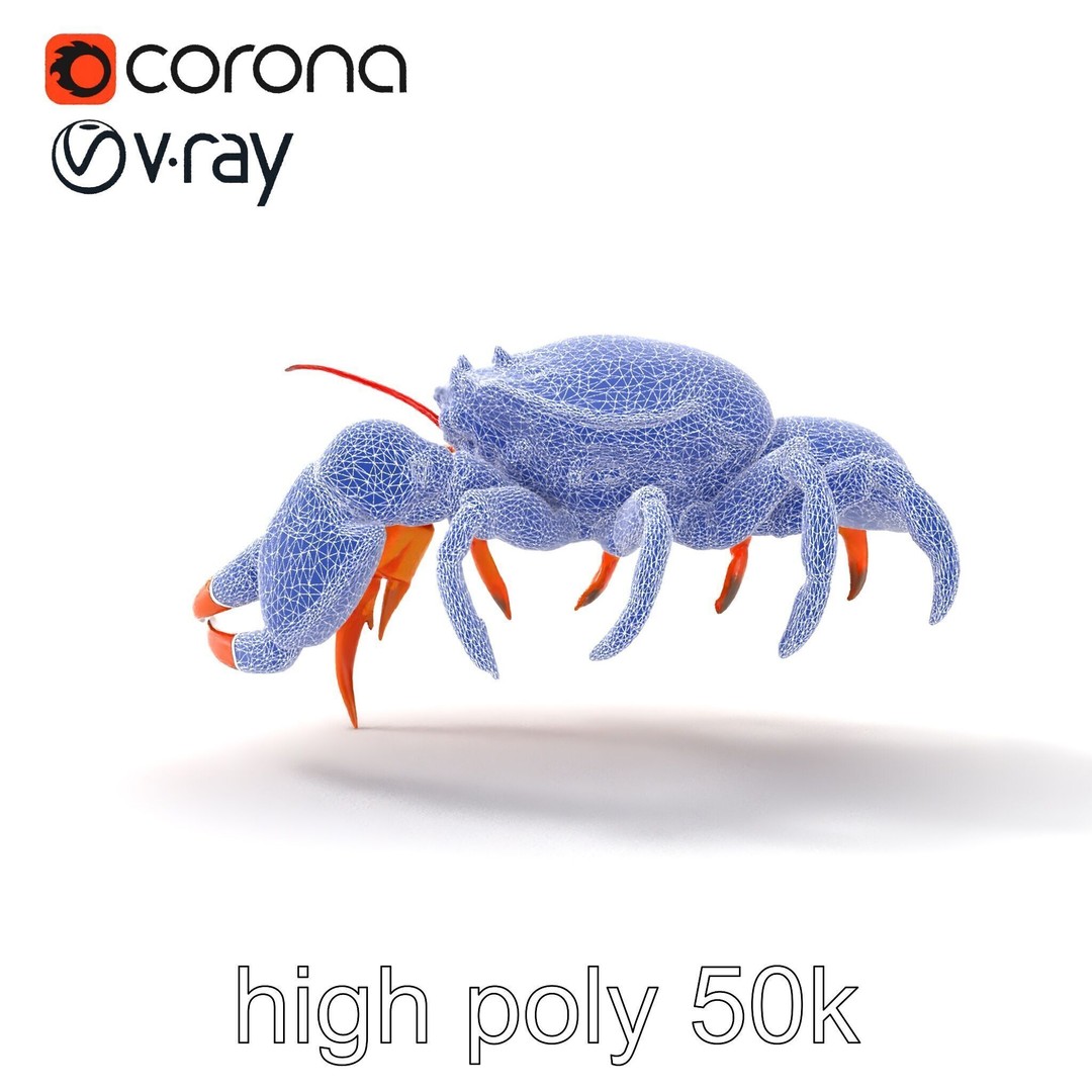 Kamchatka Crab 3D Model – Low Poly PBR Asset for Games and Animation - View 29