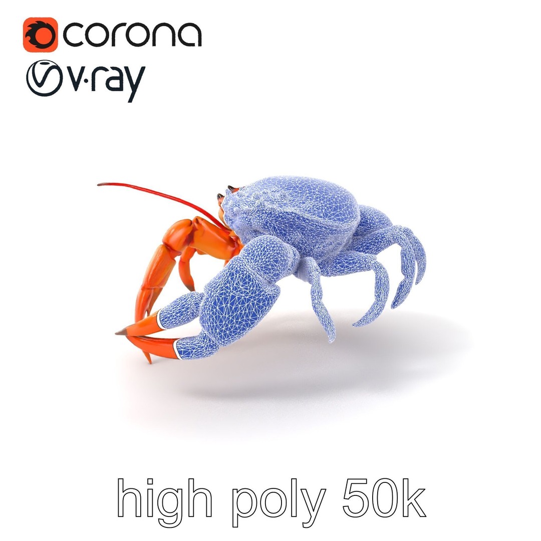 Kamchatka Crab 3D Model – Low Poly PBR Asset for Games and Animation - View 3