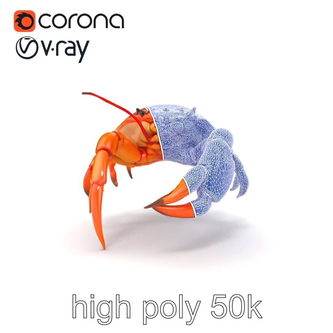 Kamchatka Crab 3D Model – Low Poly PBR Asset for Games and Animation - View 30