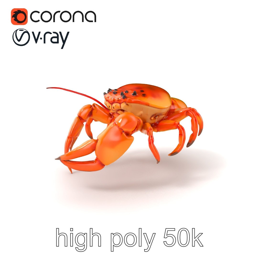 Kamchatka Crab 3D Model – Low Poly PBR Asset for Games and Animation - View 4