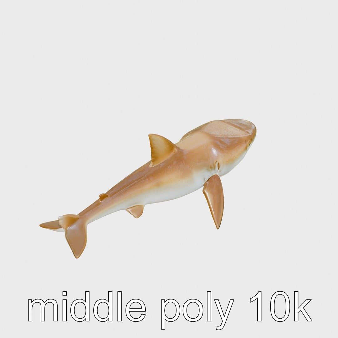 Sawshark 3D Model – Low Poly PBR Asset for Games and Rendering - View 10