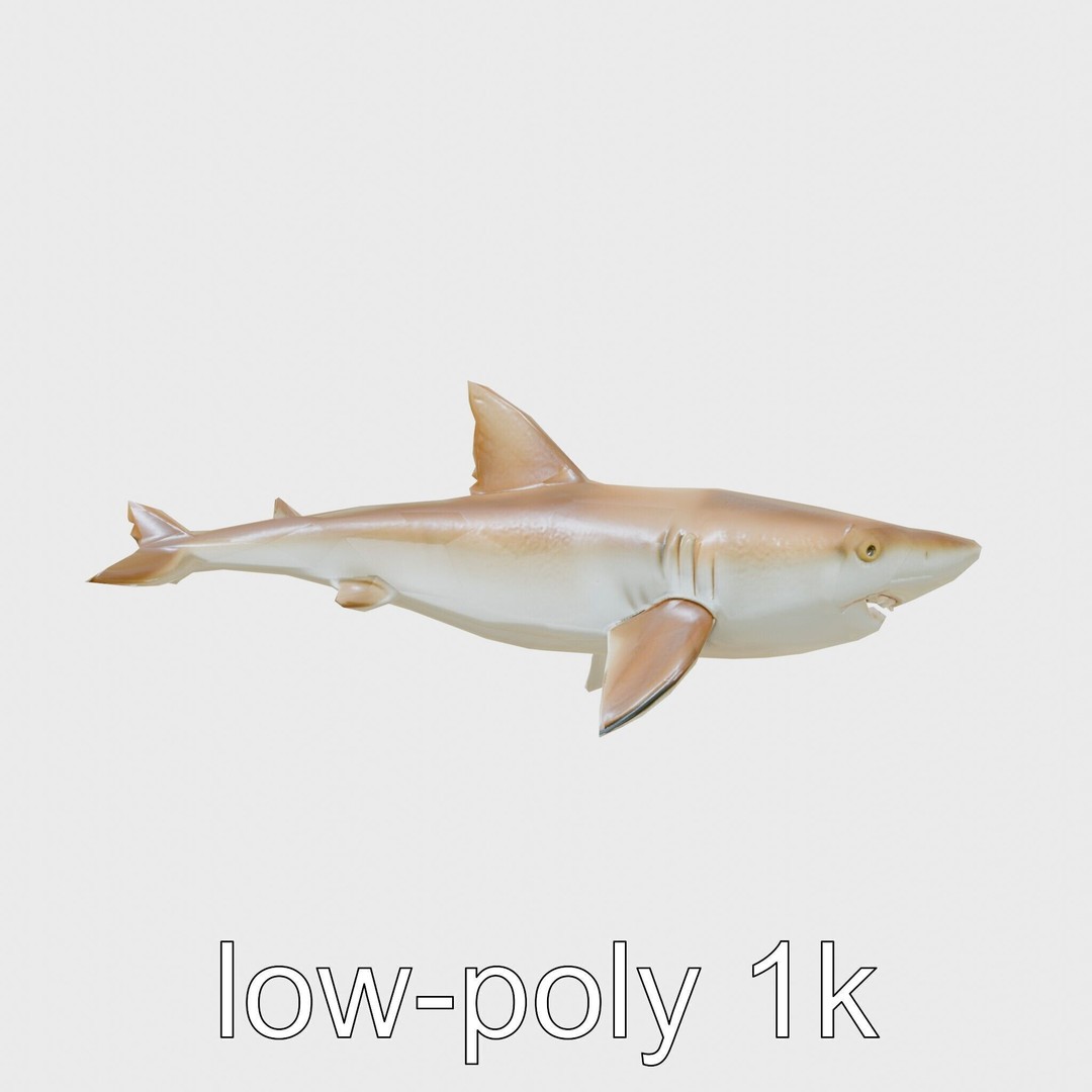 Sawshark 3D Model – Low Poly PBR Asset for Games and Rendering - View 13