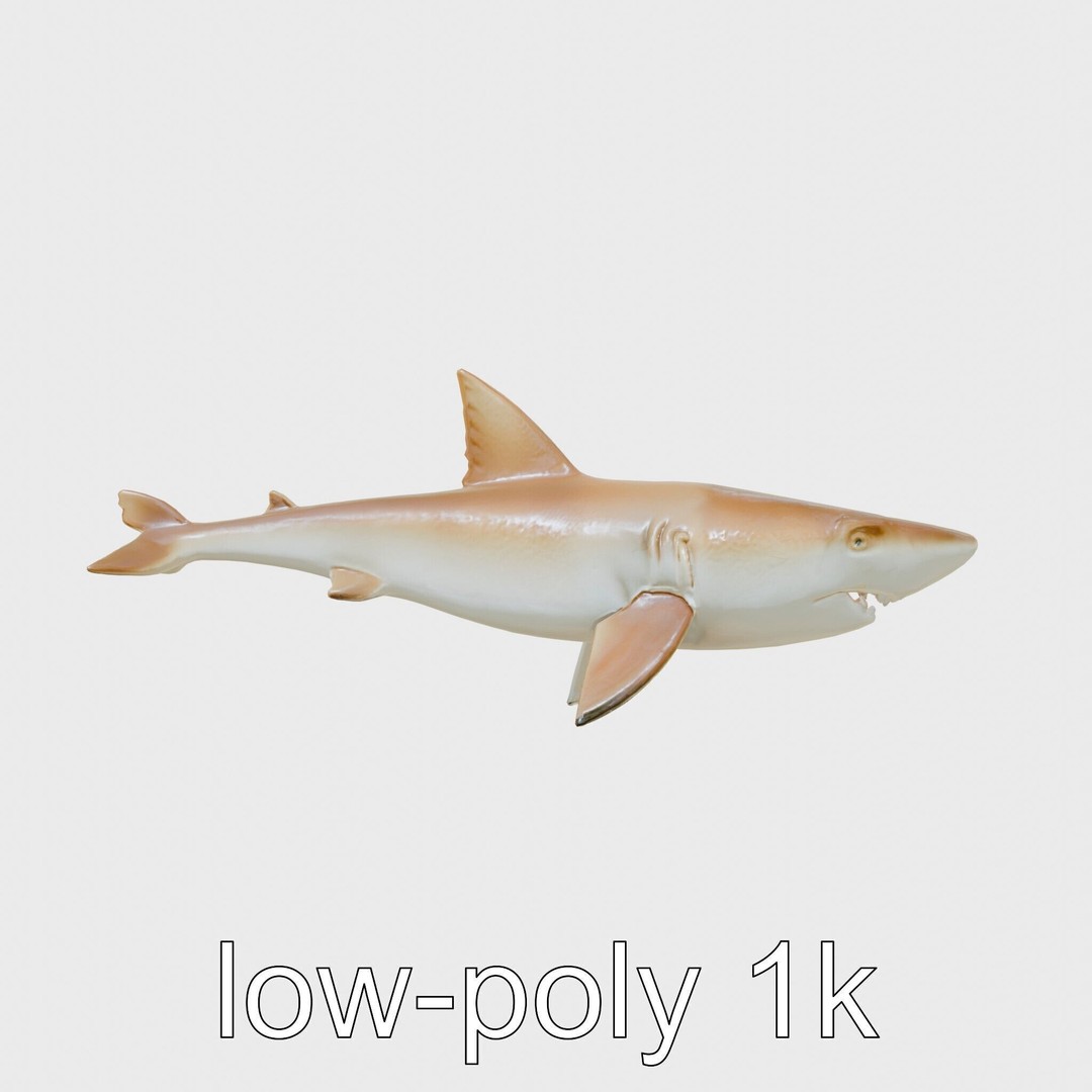 Sawshark 3D Model – Low Poly PBR Asset for Games and Rendering - View 14