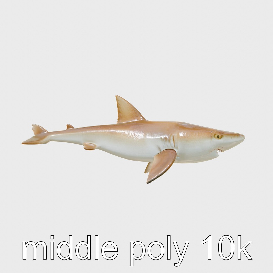 Sawshark 3D Model – Low Poly PBR Asset for Games and Rendering - View 20