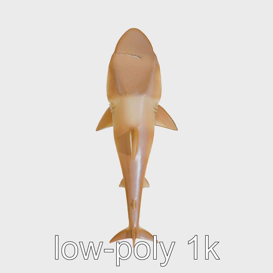 Sawshark 3D Model – Low Poly PBR Asset for Games and Rendering - View 21