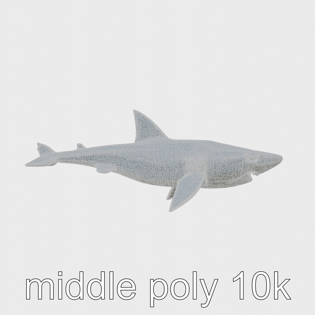 Sawshark 3D Model – Low Poly PBR Asset for Games and Rendering - View 23
