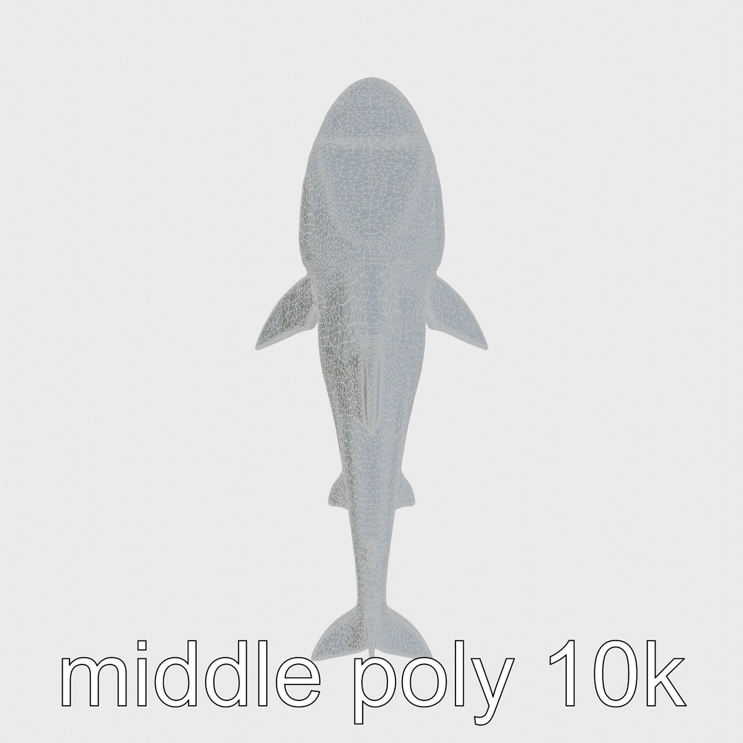 Sawshark 3D Model – Low Poly PBR Asset for Games and Rendering - View 26