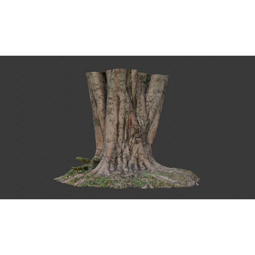 Multi-Trunk Tree Stump 3D Model – Low Poly Scanned Asset, PBR Textures