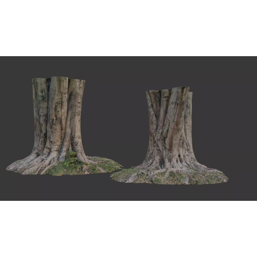 Multi-Trunk Tree Stump 3D Model – Low Poly Scanned Asset, PBR Textures - View 2