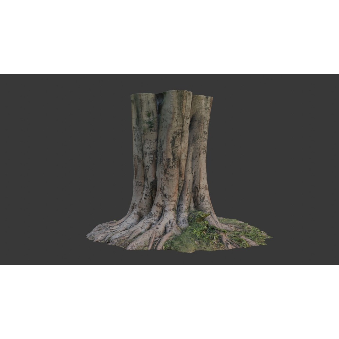 Multi-Trunk Tree Stump 3D Model – Low Poly Scanned Asset, PBR Textures - View 3