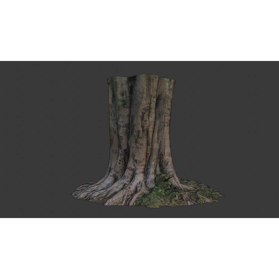 Multi-Trunk Tree Stump 3D Model – Low Poly Scanned Asset, PBR Textures - View 4