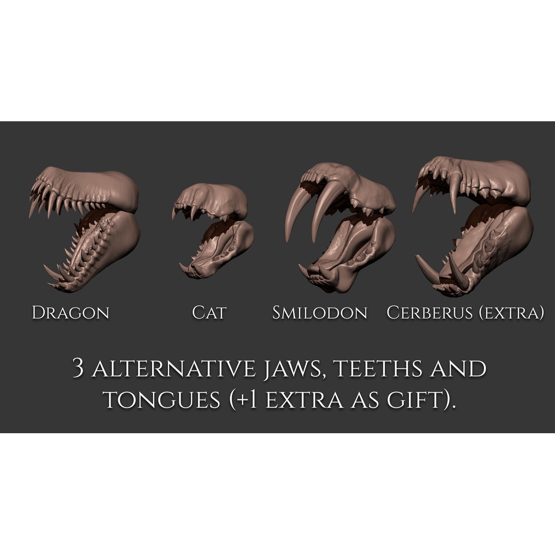 Creature Jaws 3D Model – ZBrush Brushes Set with Tongues and Teeth - View 4