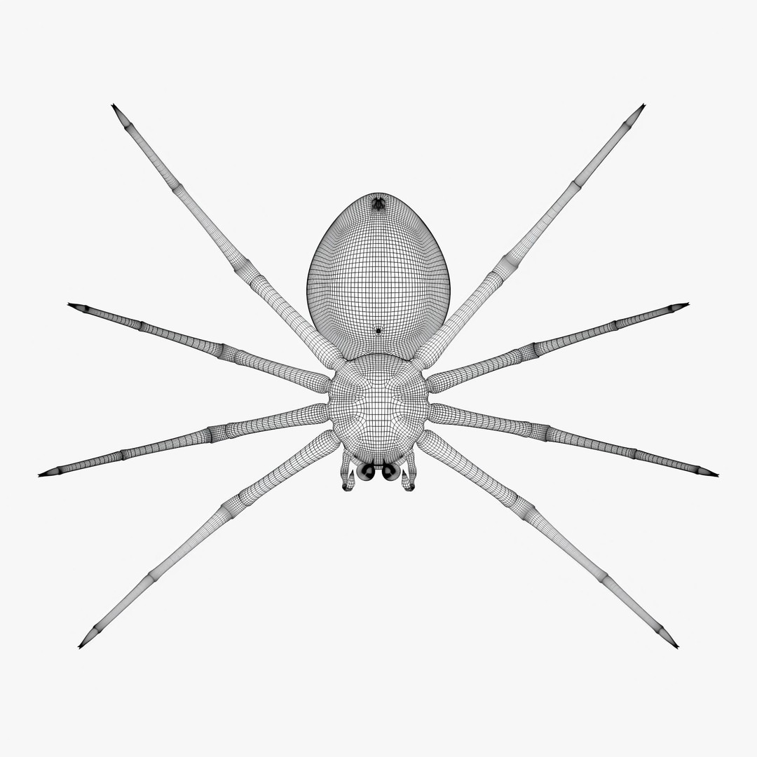 Rigged Spider 3D Model – Low Poly Creature with 8K PBR Textures, FBX