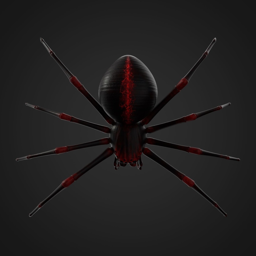 Rigged Spider 3D Model – Low Poly Creature with 8K PBR Textures, FBX - View 10