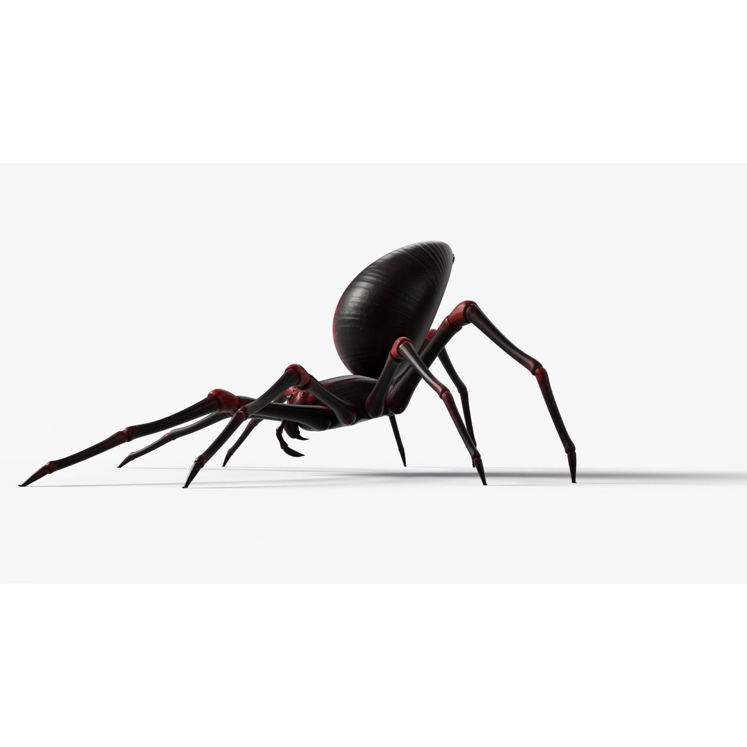 Rigged Spider 3D Model – Low Poly Creature with 8K PBR Textures, FBX - View 14