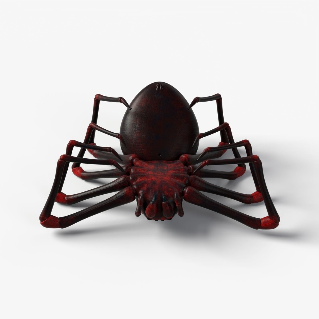 Rigged Spider 3D Model – Low Poly Creature with 8K PBR Textures, FBX - View 15