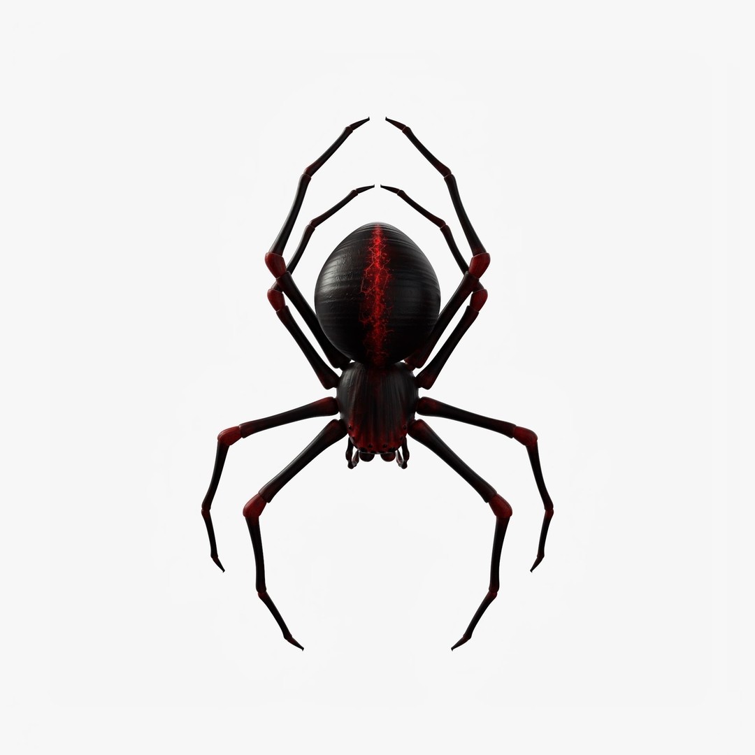 Rigged Spider 3D Model – Low Poly Creature with 8K PBR Textures, FBX - View 16