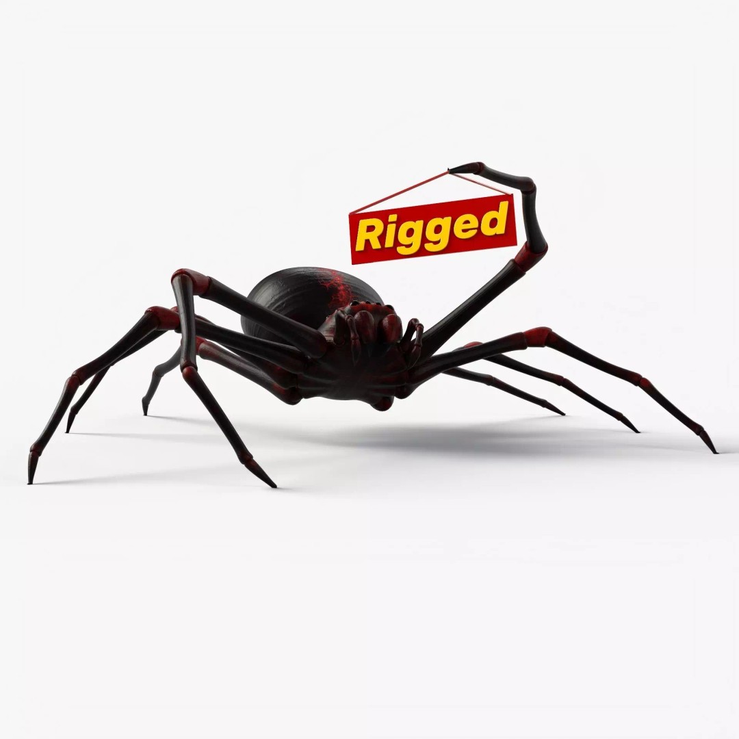 Rigged Spider 3D Model – Low Poly Creature with 8K PBR Textures, FBX - View 2