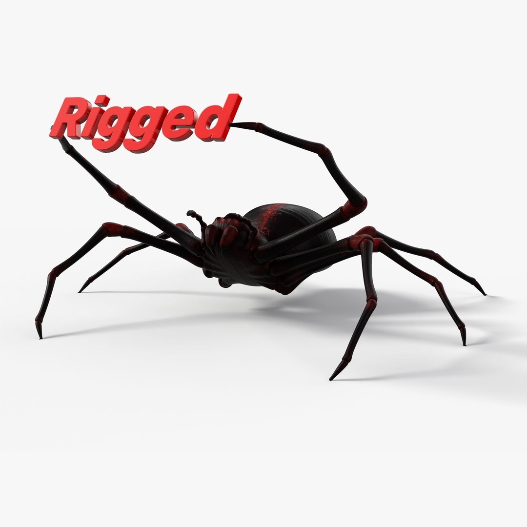 Rigged Spider 3D Model – Low Poly Creature with 8K PBR Textures, FBX - View 3