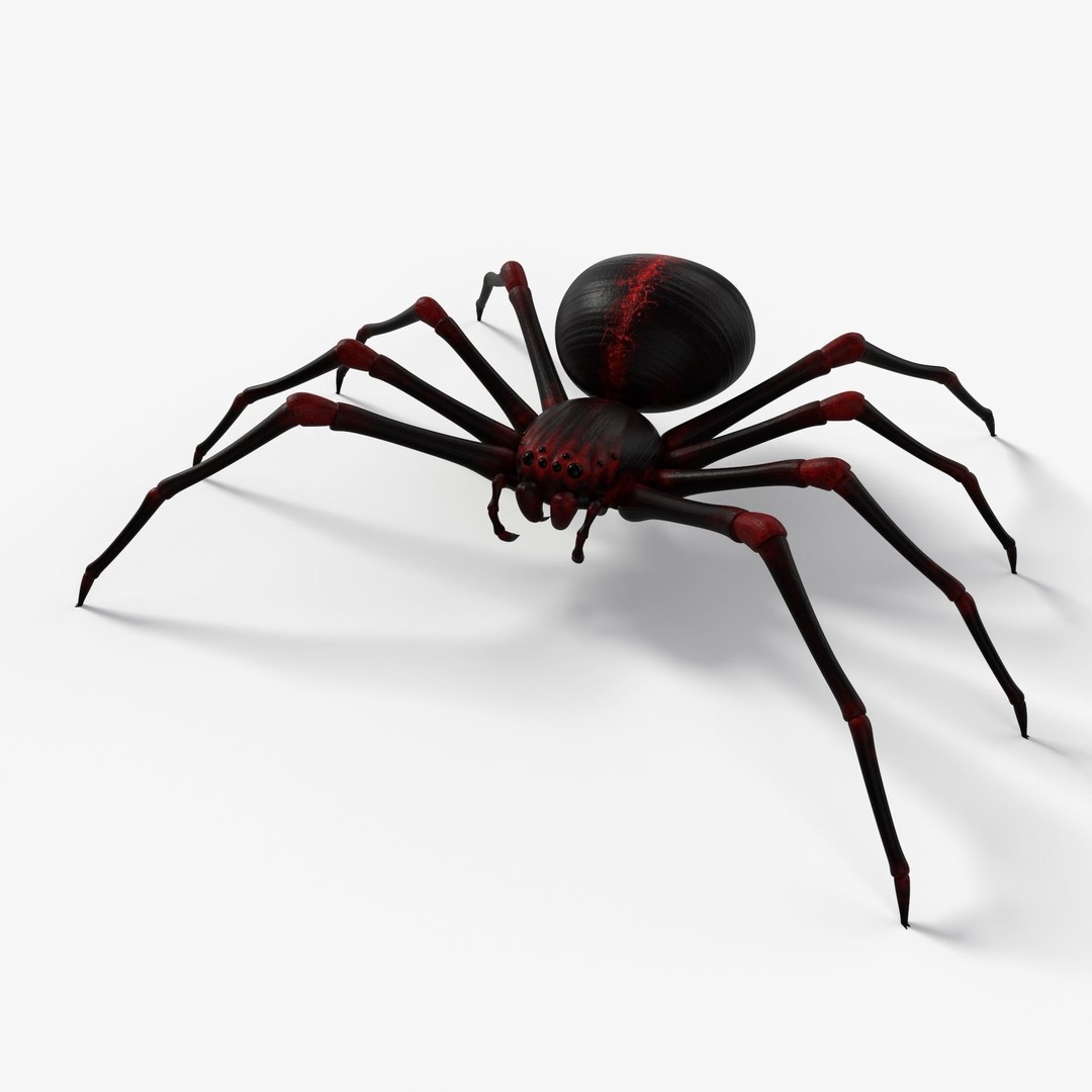 Rigged Spider 3D Model – Low Poly Creature with 8K PBR Textures, FBX - View 5
